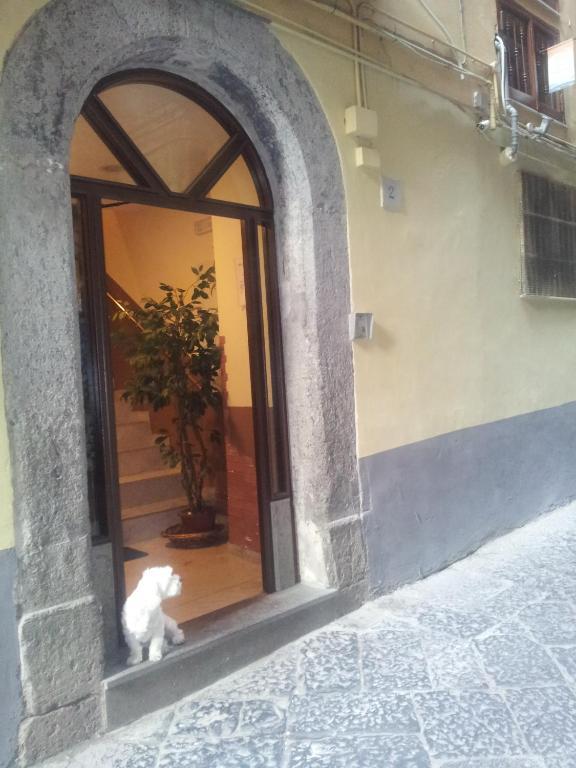 Dei Gerolomini Maison d'hôtes Naples